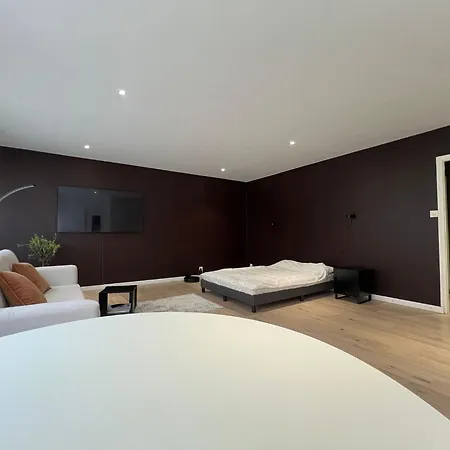 Appartement Newly Renovated Eaux Vives Charlie Thornton